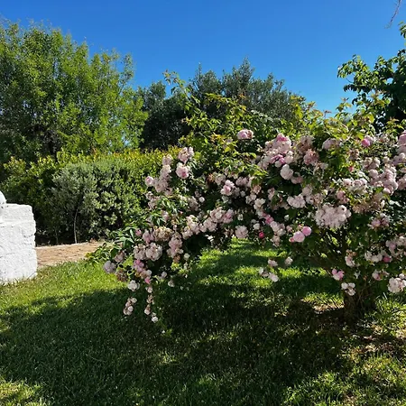 ベッド・アンド・ブレックファスト Don Giovanni 4*