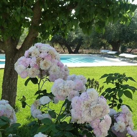 Bed & Breakfast Don Giovanni