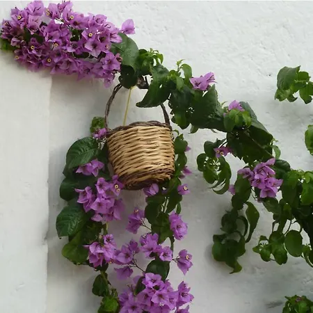 Bed & Breakfast Don Giovanni