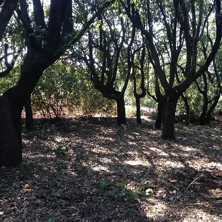 Bed & Breakfast Don Giovanni Monopoli