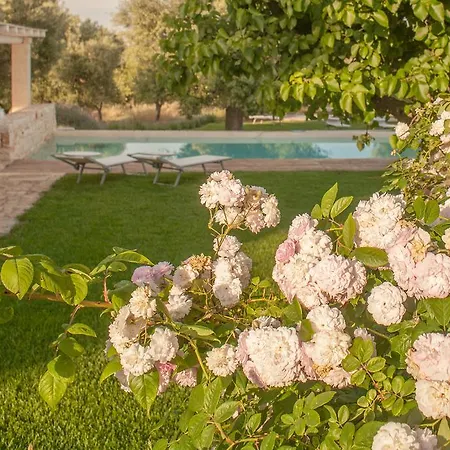 Bed & Breakfast Don Giovanni Monopoli