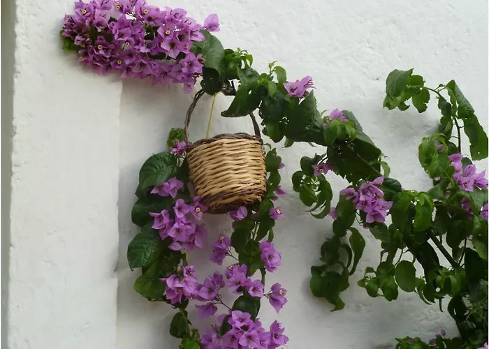 Frühstückspension Don Giovanni