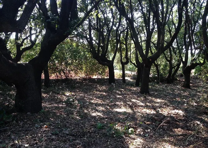 Panzió Don Giovanni Monopoli